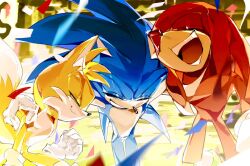 knuckles the echidna from sonic (series)