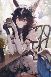curren bouquetd'or (umamusume) from umamusume