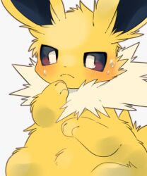 jolteon from pokemon