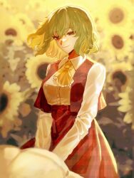 kazami yuuka from touhou