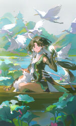 wuthering waves fan art