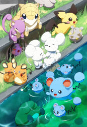 azurill from pokemon