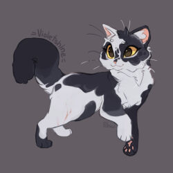 warrior cats fan art
