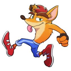 crash bandicoot fan art