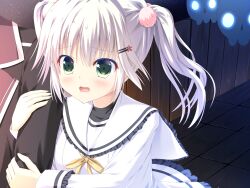 shirokuma (hatsuyuki sakura) from hatsuyuki sakura