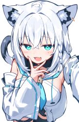 shirakami fubuki from hololive by deaver