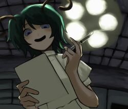 wriggle nightbug from touhou