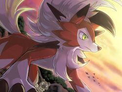 lycanroc from pokemon