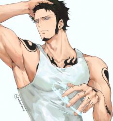 trafalgar law from one piece