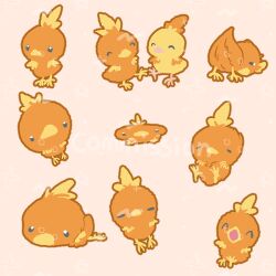 torchic from pokemon