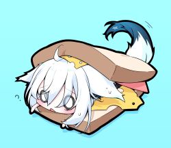 shirakami fubuki from hololive