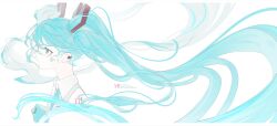hatsune miku from vocaloid