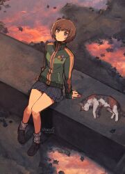satonaka chie from persona