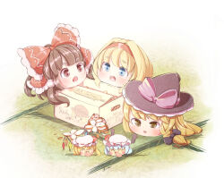 flandre scarlet from touhou by furim