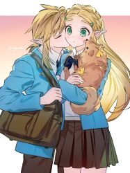 link from the legend of zelda