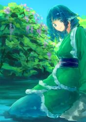 wakasagihime from touhou