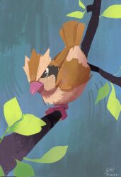 pidgey from pokemon