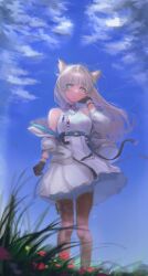 perlica (arknights) from arknights