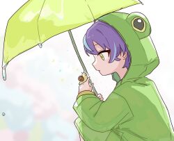 kamishiro rui from project sekai