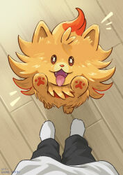 pombon from pokemon