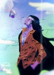 hattori (one piece) from one piece