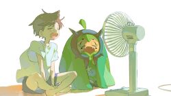 florian (pokemon) from pokemon