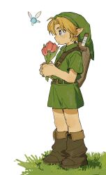 link from the legend of zelda