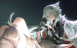 lappland (arknights) from arknights
