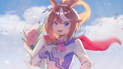 tokai teio (umamusume) from umamusume