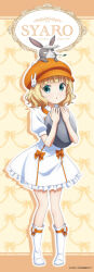 kirima syaro from gochuumon wa usagi desu ka?