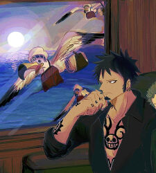 trafalgar law from one piece