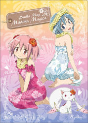 kaname madoka from mahou shoujo madoka magica