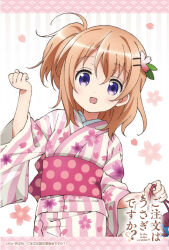 hoto cocoa from gochuumon wa usagi desu ka?