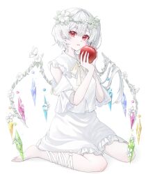 flandre scarlet from touhou