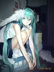 hatsune miku from vocaloid