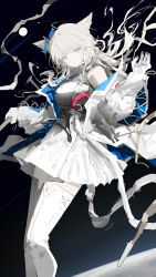 perlica (arknights) from arknights