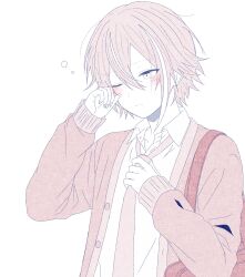 kamishiro rui from project sekai