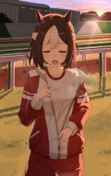 special week (umamusume) from umamusume