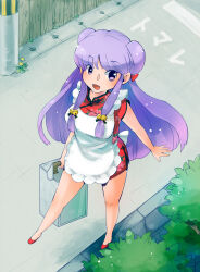 shampoo (ranma 1/2) from ranma 1/2 by mijica