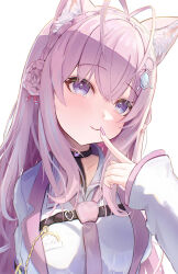hakui koyori from hololive