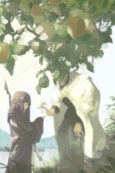 fern (sousou no frieren) from sousou no frieren