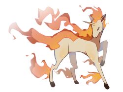 rapidash from pokemon