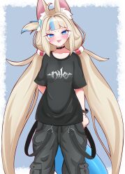 sameko saba from indie virtual youtuber