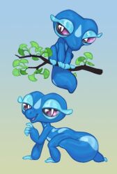 gecqua from pokemon