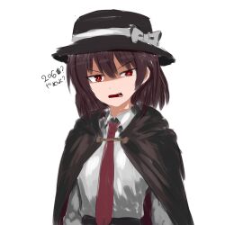 usami renko from touhou