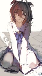 agnes tachyon (umamusume) from umamusume by o ko ge2024