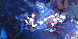 seele (alter ego) from honkai (series)