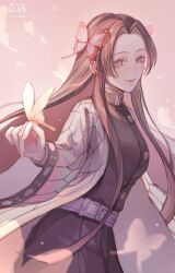 kochou kanae from kimetsu no yaiba