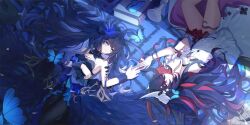 seele (alter ego) from honkai (series)