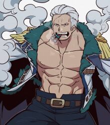 smoker (one piece) from one piece by kageimo